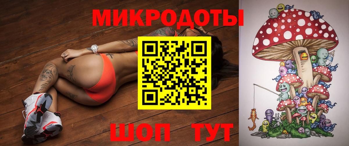 Псилоцибиновые грибы Psilocybe Екатеринбург