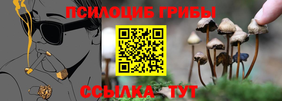 Екатеринбург  Псилоцибиновые грибы мицелий  наркошоп  Вход с VPN 