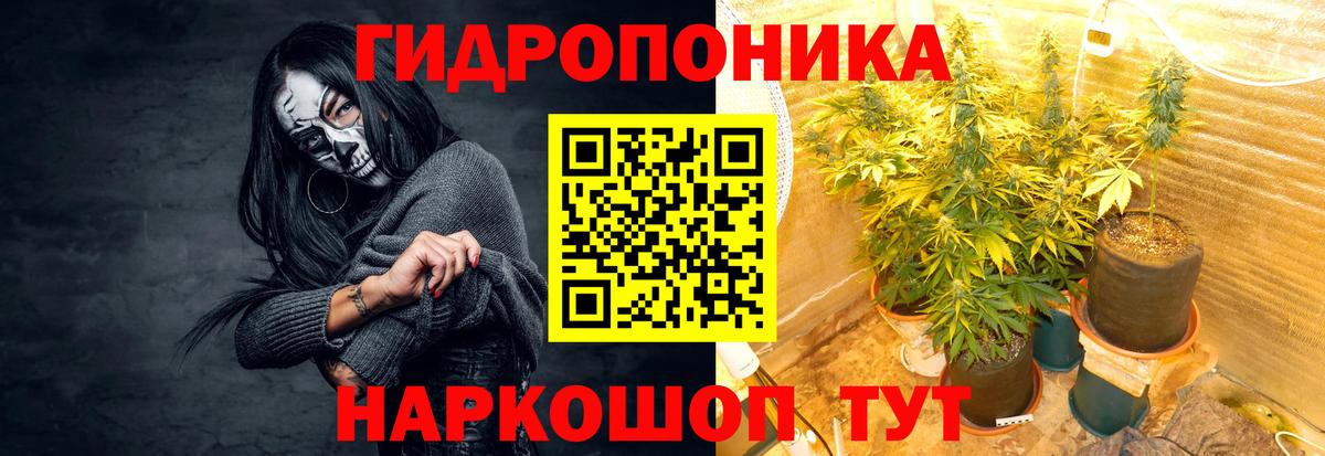 Екатеринбург  Марихуана Amnesia  Бошки Шишки OG Kush  Вход с VPN  Конопля семена 